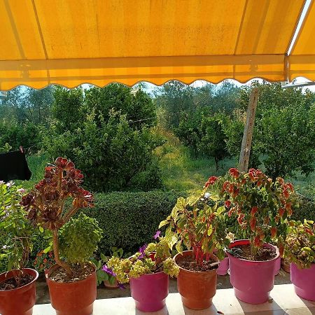 Guest House Fetie Berat Esterno foto