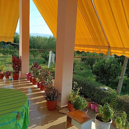 Guest House Fetie Berat Esterno foto