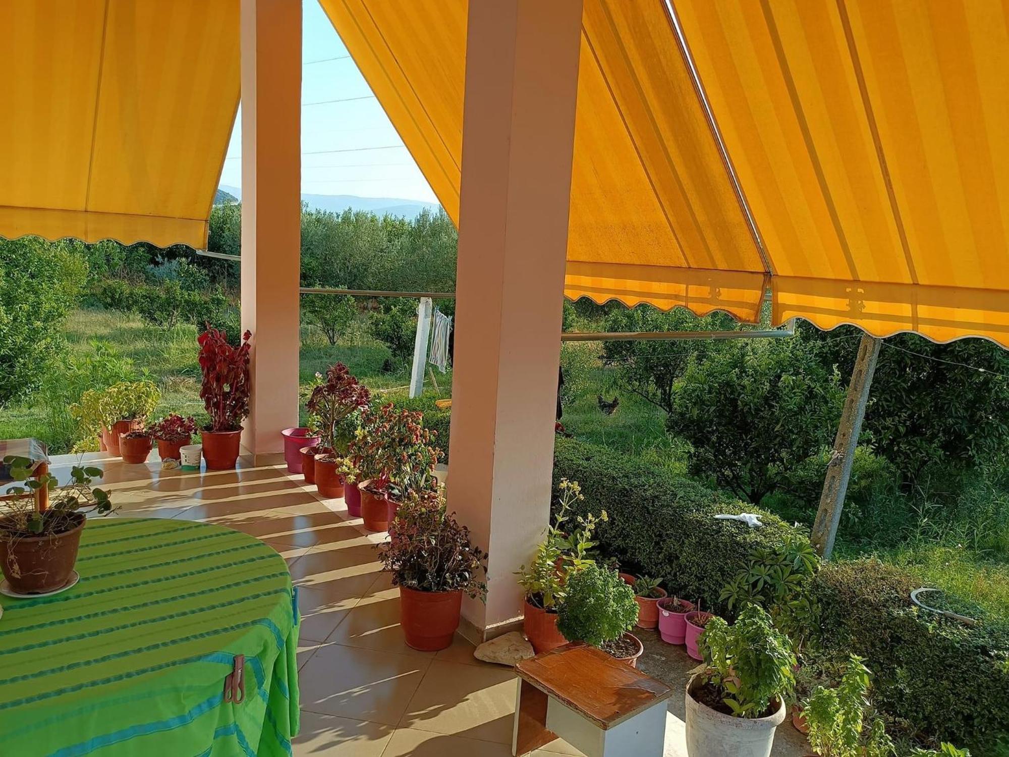 Guest House Fetie Berat Esterno foto